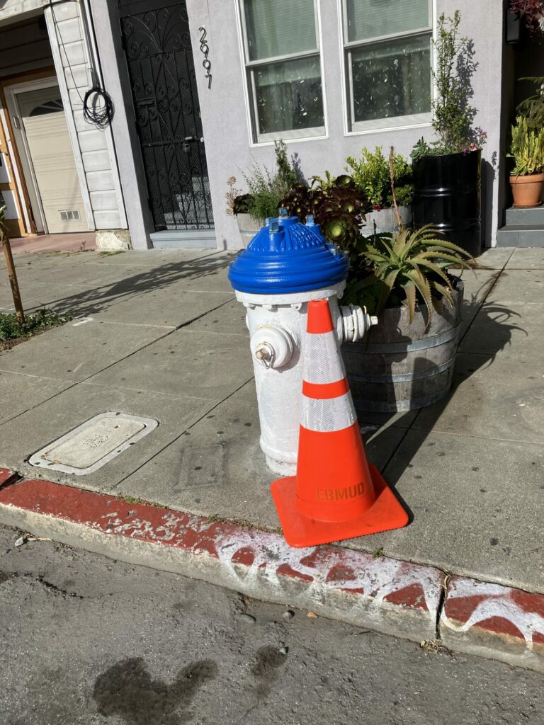 Orange cone in front of a white and blue fire hydrant. The sun shines brightly. 