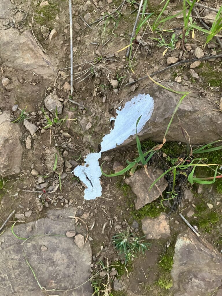 Drip of white bird poop on some rocks and dirt