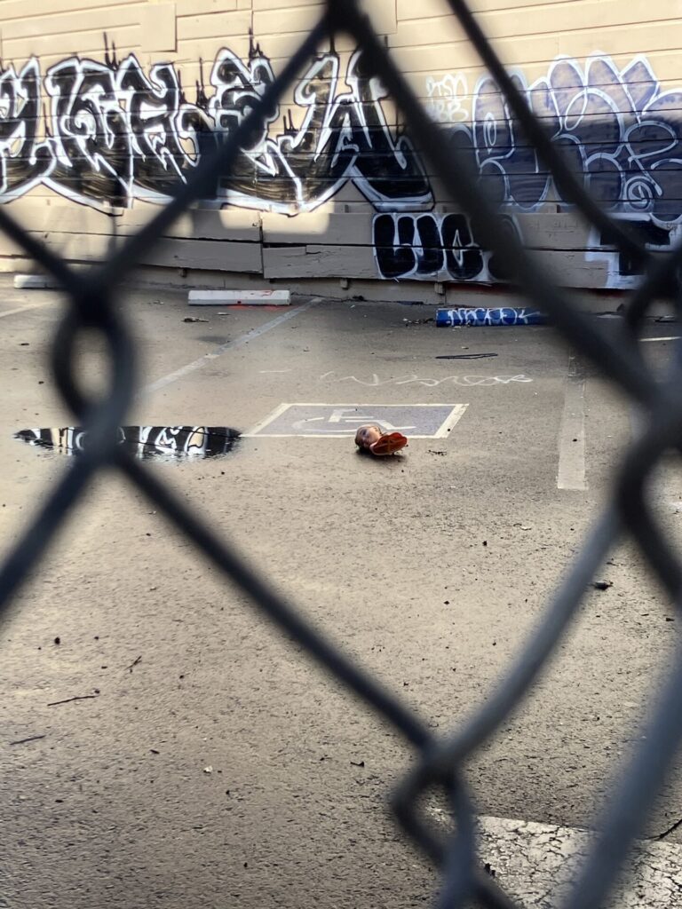 Extremely close up chain link fence, through the fence is a large doll head in an empty parking lot. Next to the doll head is a puddle reflecting the black and white graffiti on the wall in the background. 